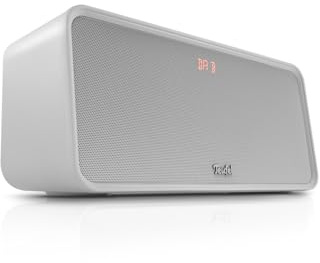 Teufel BOOMSTER 4 Enceinte Bluetooth Robuste avec système stéréo 2.1 Système Audio Radio Dab+ et FM-RDS, Batterie jusqu'à 23 Heures, IPX5 Étanche - Moon Gray