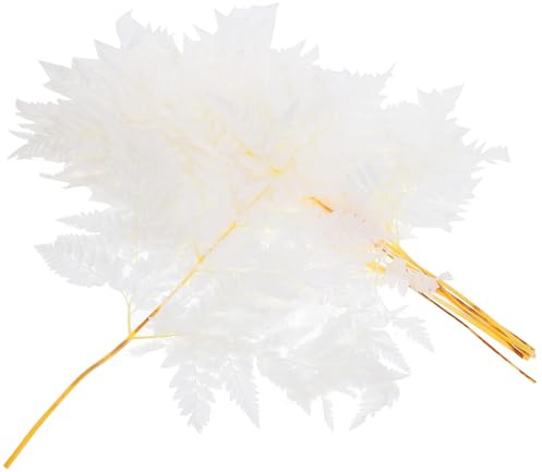 FUTUREORYY Selbstgemacht Blumenarrangements Trockenpflanzen Farnpflanzen Bündel mit 10 Blättern Natürliche Pflanzen Deko für Rustikale Wohnräume und Festliche Anlässe