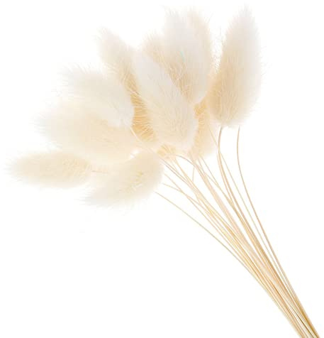 YIWOYI 50 Stück Ewige Blumen, getrocknetes Gras, langer Zweig, natürliche getrocknete Blumen, bunte Plüschblumen, Kaninchenschwanz, Fuchsschwanz, Gras für Heimdekoration (weiß)