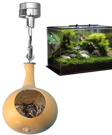 Springspinnen Haus - Terrarium Unterkunft für Kleine Spinnen | Transparentes Beobachtungsgehäuse mit Belüftung | Spinnenhaus Terrariums - Heimtierhaltung Deko Lernen
