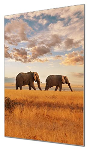 banjado Glas Magnettafel (50 x 75cm) - Magnetwand Glas - Magnetpinnwand als Memoboard - Pinnwand Magnettafel Küche, Büro, Kinderzimmer - Elefanten