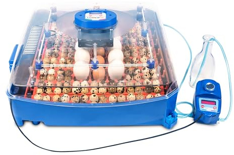 Borotto Lumia 56 Expert | Brutautomat Vollautomatisch 56 Eier oder 244 Kleine mit Automatischem Eierwendemechanismus, Temperaturregelung, Automatischem Luftbefeuchter Sirio | Hergestellt in Italien