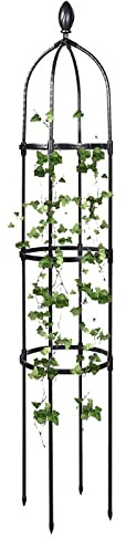 RADAAB Obélisque de Jardin Treillis Plante Grimpante Extérieur - Stable Cage à tomates, métal de 115x 25.4cm，145x31.7cm，175x31.7cm pour Plantes Grimpantes et Vignes (Size : 25.4x175cm/10x69in)