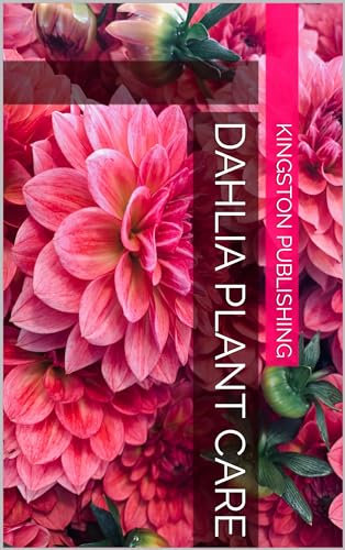 Dahlia Plant Care (Growing Flowers)