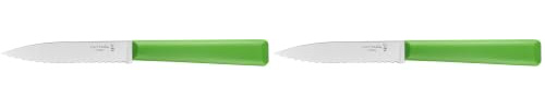 OPINEL - N°313 Couteau Cranté de Cuisine Les Essentiels - Lame Dentée Acier Inoxydable - Manche Polymère Robuste - Passe au Lave-Vaisselle - Léger - Vert (Lot de 2)
