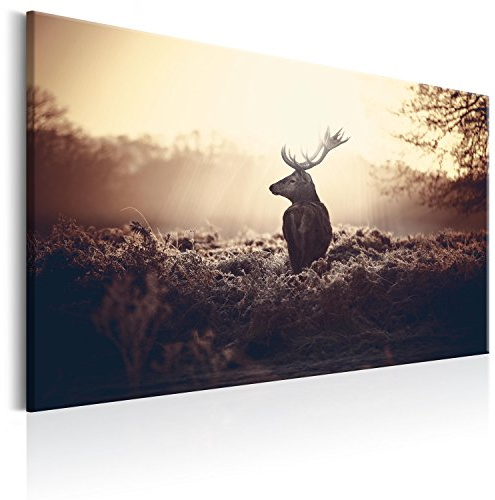murando - Leinwandbild Natur Tier Landschaft, 90x60 cm, 1-teilig, modern | Hochwertige Leinwand, sofort aufhängbar, ideal fürs Wohn- oder Schlafzimmer, wasserfest und lichtecht, langlebig, stilvoll