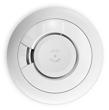 .Ei Electronics Rauchwarn Ei650i-0L177