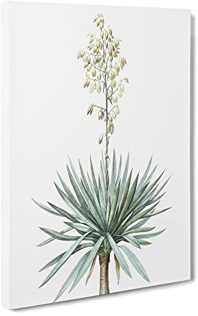 Adams Needle Yucca Flowers By Pierre Joseph Redoute Canvas Print | Gallery Wrapped 30mm Frame Wall Art | 30x20 inches | Ready to Hang | Retro Floral Picture | Living Room Bedroom Lounge Office