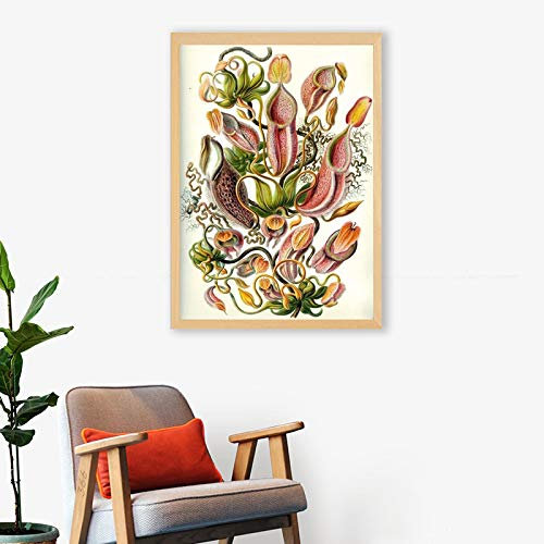 XIANGPEIFBH Carnivorous Plant Poster Nepenthaceae Tropical Pitcher Plants Monkey Cups Prints Wall Art Painting Canvas Picture Decor 40x60cm(16x24) Unframed