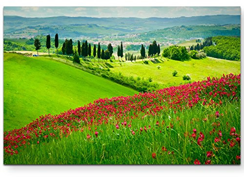 Paul Sinus Art Leinwandbilder | Bilder Leinwand 120x80cm Blumenwiese mit Zypressen Toskana – Italien