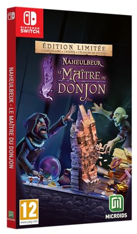 Mikroids videospel för Switch The Dungeon Master of Naheulbeuk – EAN: 3701529519765