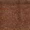 Malla De Sombreo Ratcher Color Marron- Medida 1,5 Alto X 25 m Largo