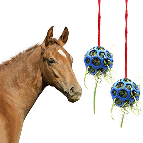 2 Palline per Cavalli, Giocattolo da Appendere, Mangiatoia per Fieno in Paddock Stalla, per Cavalli, Capra, Pecore, Alleviare lo Stress (Blu)