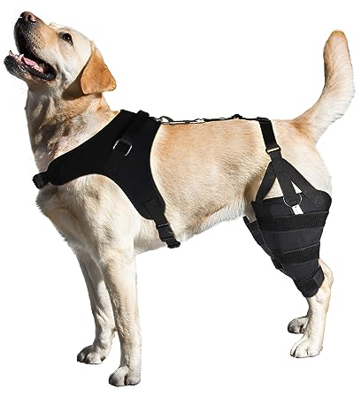 LISPOO Doppelte Gelenkbandage für Hinterbeine, Kreuzbandstütze und Luxating Patella-Stabilisator für Hunde, verstellbare Beinstütze mit ausreichend atmungsaktiv für gerissene Bänder,