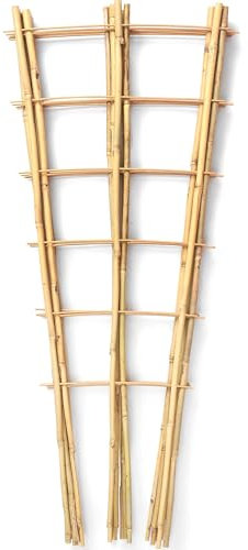 SWANGSA Bambus-Spalier für Kletterpflanzen, fächerförmige Leiter, Spalier für Außen- und Innenbereich, Topfpflanzen, Gurkengartenpfähle, 5 Stück