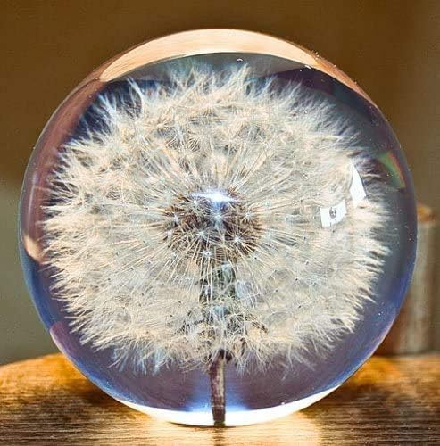 Ornamenti Regali, Fermacarte in vetro A Dream Ball. Palla dei desideri di cristallo. Fermacarte unico realizzato in dente di leone. Il regalo perfetto. Diametro (7 cm)