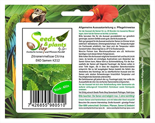 Pcs - 400x Citronnelle Citrina Eko Semences Jardin Plantes - Graines K212 - Seeds & Plants Shop by Ipsa