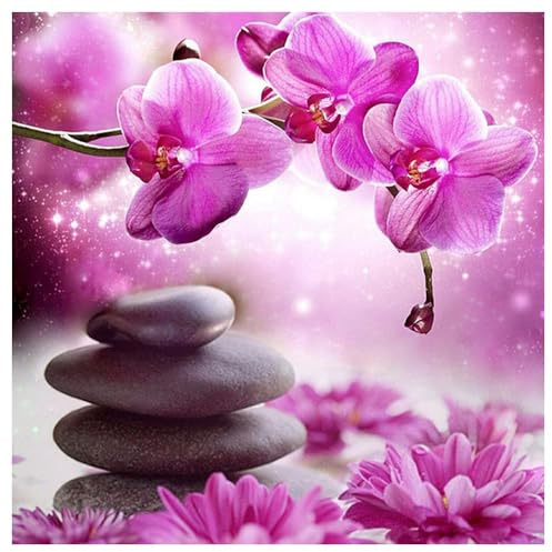 DIY Square Art Diamant Painting Kit Bilder Groß Orchidee Phalaenopsis 40x40cm 5D Strass Diamond Painting Eckige Steine Blumen Bilder Full Stickerei Kreuzstich Leinwand Puzzle Diamanten Painting