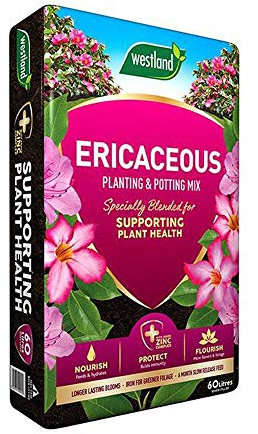 Westland Ericaceous Planting & Potting Mix 10L