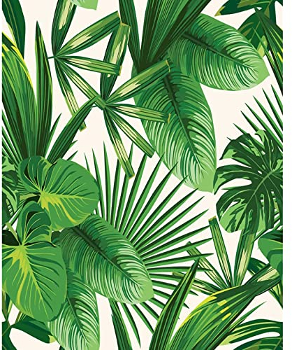 Tropische grüne Blätter Malset Palmen Monstera Blatt Malen nach Zahlen Kits 40 x 50cm Leinwand DIY Aquarell Pflanze Ölgemälde für Kinder Erwachsene Anfänger mit Pinseln und Acrylkunst (ohne Rahmen)