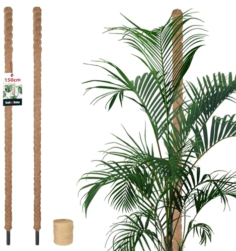 KOTARBAU Set di 2 bastoncini di muschio per Monstera di cocco naturale, diametro 3,2 x 150 cm, asta di cocco, Moss Pole