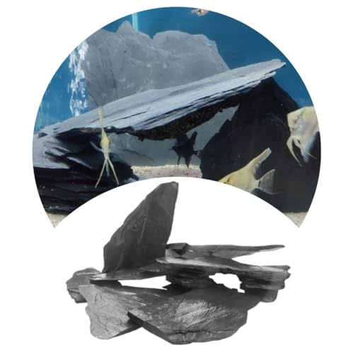 TD STONES Aquarium Steine Natürlich 5kg Schieferplatte – Natursteine Deko für Aquascaping Höhle & Rückwand – Terrarium Zubehör Dekosteine Wasserneutral