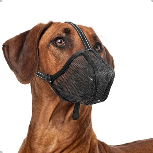ILEPARK Maulkorb für Hunde, Weicher Netz Maulkorb Einstellbare Passform für Welpen Kleine Mittlere Große Hunde, Maulkorb Anti-Biss Anti-Kauen, Atmungsaktiv(S, Schwarz)