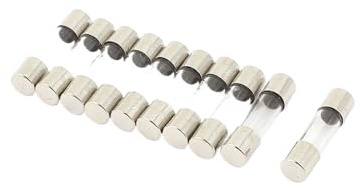 10 Stück 250 V 0,2 A 200 mA Schnellschmelz-Glassicherungen (5 mm x 20 mm)