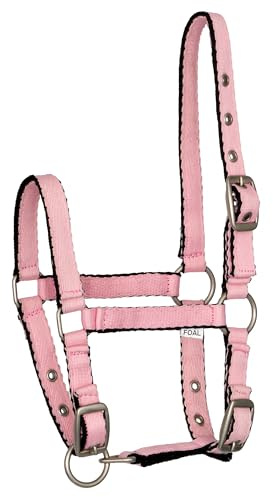 Start Strong Foal Halfter – 2-Fach verstellbares Pony Halfter für Minishetty & Miniaturpferde, doppelt genäht, mit Karabinerhaken & silbernen Beschlägen (Rosa, Foal)