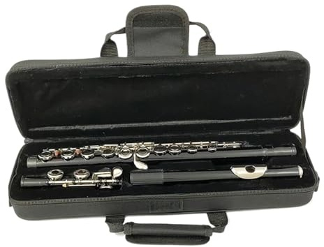 Flöte Vernickelte Flöte Mit E-Taste C-Tasten-Instrument 16 Geschlossene Löcher Schwarze Flöte