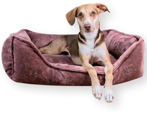 4L Textil IRIS Orthopädisches Hundebett Premium-LINE Hundekorb orthopädisch Kuscheliges Hundebett mit Bezug Memory Foam(100x80 cm, Grape Mauve)
