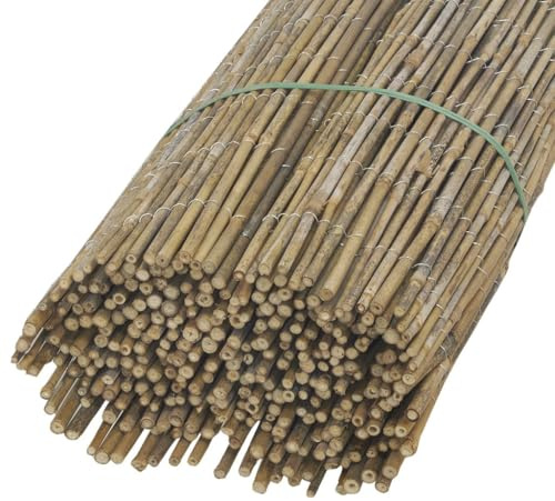 AUBRY GASPARD - Canisse en Petit Bambou - Brise Vue jardin occultant - Livré en rouleau avec Sac de Transport - Idéale pour Jardin et Terrasse - Résistant aux intempéries - 100x500 cm