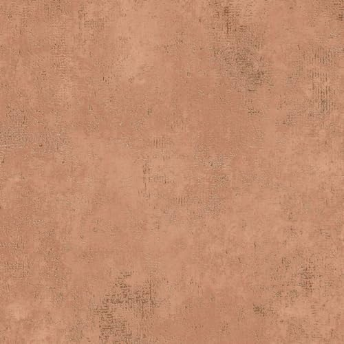 BRICOFLOR Terracotta Tapete in Betonoptik ideal für Schlafzimmer und Wohnzimmer Orange rote Vliestapete mit Metallic Effekt