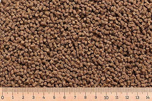 (Grundpreis 3,30 Euro/kg) - 5 kg Karpfenfutter AC 3,0 mm 30/7 sinkend - Karpfen - Karpfenpellets