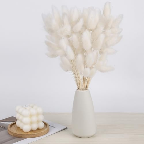 Junrvivy Pampasgras Klein Deko - 120 Stück Trockenblumen Weiß 30cm Hasenschwanzgras Getrocknet Trocken Blumen Pampas Gras für Vase Home Decoration Wohnzimmer Hochzeit Tischdeko Badezimmer