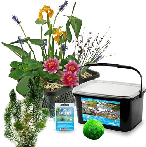 vdvelde.com - Teichpaket Rot 25-90L - - Macht Ihren Teich wartungsfrei - 11 Pflanzen + Zubehör - Platzierung: -1 bis -20cm