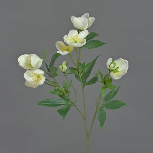 artplants.de Kunstblumen Zweig Christrosen ANYALA, Creme-weiß, 50cm | Künstlicher Deko Zweig
