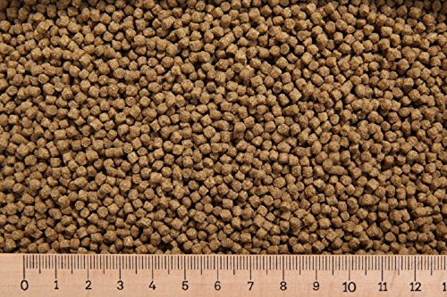 (Grundpreis 3,15 Euro/kg) - 10 kg Karpfenfutter PP 3,0 mm 30/5 schwimmend Cypriniden - Karpfenpellets
