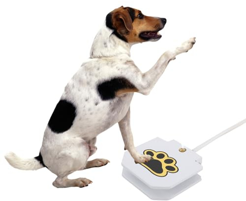 MEELRYD Fontana per cani e animali domestici, fontana d'acqua per cani per esterni, irrigatore d'acqua con funzione di pedale, giocattolo per cani per diversi ambienti esterni