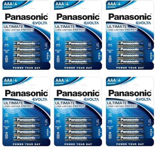 PANASONIC Lot de 6 Blisters de 4 Piles Alcaline Evolta AAA LR03