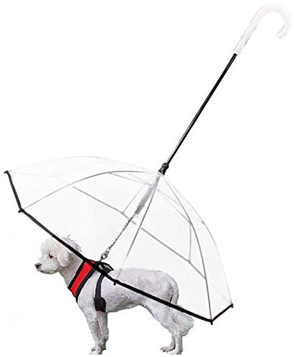 PJDDP Hund Regenschirm, Pet Regenschirm Mit Leine Regen Proof Snow-Proof-Regenschirm Für Spazierender Hund in Verregneten Tagen, Transparent Wasserdicht, Extralange Handle & Extra Strong Leine, 2ST