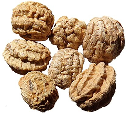 Capucine - Tropaleum Majus Mix - 20 graines - Garden Nasturtium - ( Engrais Vert - Green Manure ) - SEM05