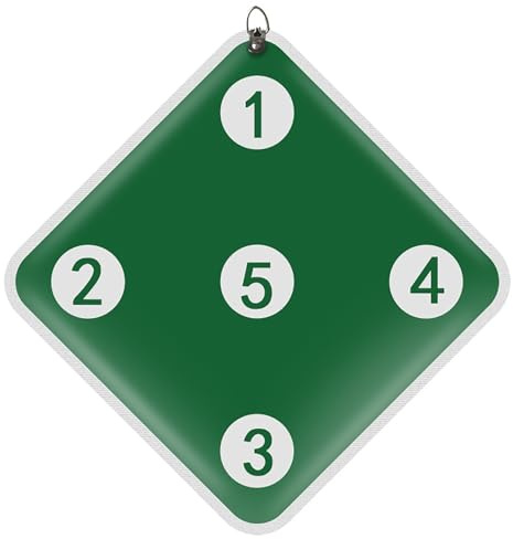 BeiLiHe PU Leder Fechttraining Ziel für Säbelfolie und Degen, Fechtschwert Ziel, Heim Fechten Ausrüstung für Kinder und Erwachsene (Color : Green)