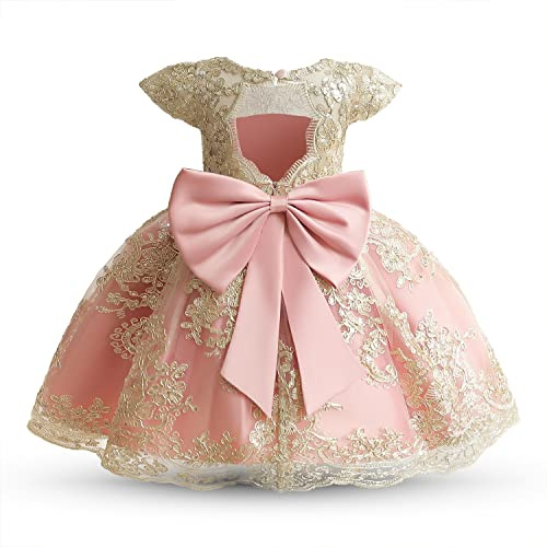 NNJXD Baby Girl Dress Flower Embroidery Princess Tutu Pageant Party Gown 2006 Pink Size(80) 6-12 Months