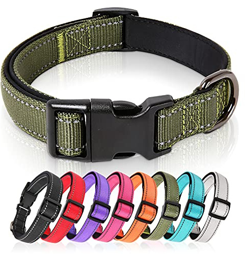 HEELE Hundehalsband, Hundehalsband aus Nylon, Reflektierend Halsband Hund mit Weich Neopren Gepolstert für Welpen Kleine Mittel Große Hunde Läng Einstellbereich 20-30 cm, Grün, XS