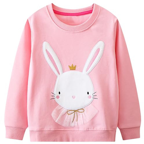 Baogaier Felpa per Bambina Ricamo Stampato Pullover Ragazza Top 2-7 Anni | Cotone, Senza Cappuccio, Casual, Manica Lunga Maglietta, Sweatshirt, Leggero Maglione, Autunno Inverno, Sportivo Vestiti