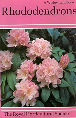Rhododendrons