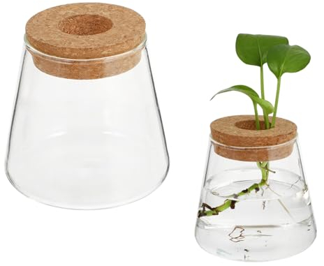 Cabilock 2Pcs di Fioriera con Tappo di Sughero Desktop di Impianto di Aria Terrario di per La Casa