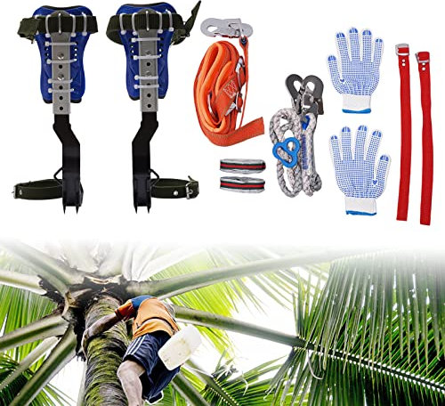 chennnls Baumklettern Ausrüstung Set, Rindsleder Design Klettern Bäume Artefakt, Steigeisen Tree Climbing Spike Fallschutz Seil Rescue Belt für Bergsteigen Baumklettern Outdoor, 150kg/330lb