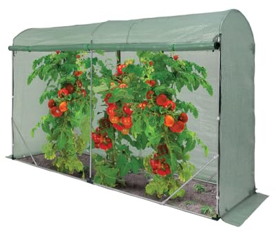Tomaten Gewächshaus-Tunnel, Weiß, 3x1,8 m, PE-Abdeckung 130 g/m² mit UV4-Schutz, Verzinkter Stahlrahmen 16 mm (Grün)